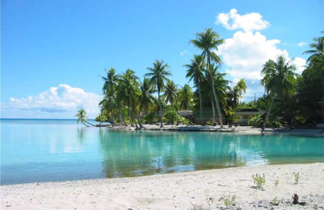 Lagon vert de Rangiroa