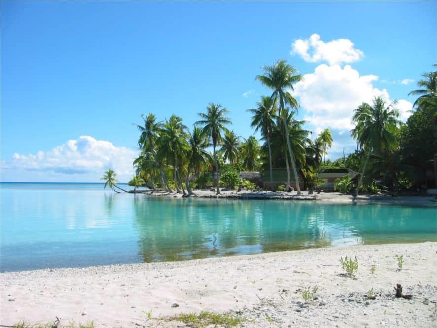 Lagon vert de Rangiroa