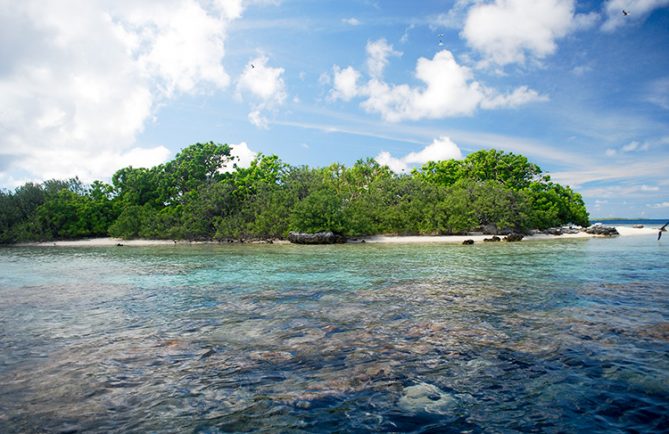 Motu aux oiseaux de Aratika © Tahiti Heritage