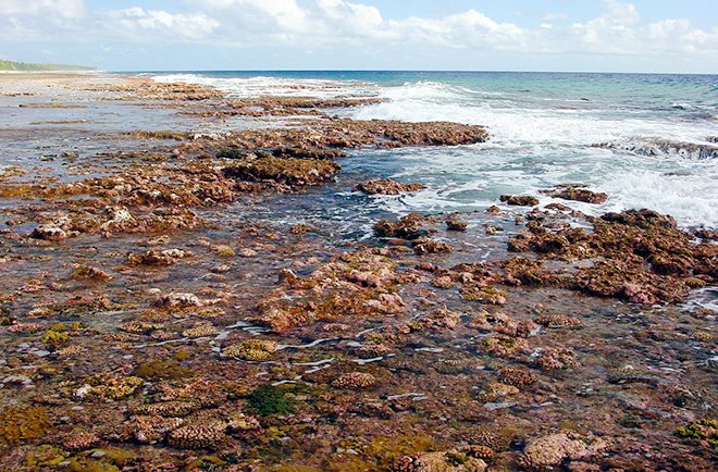 Beach rock de la cote Nord de Mataiva