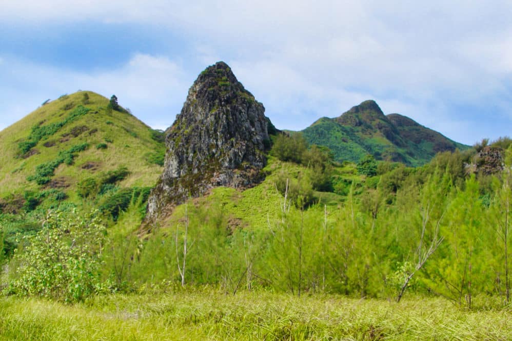 Dent de Pahatu à Tubuai