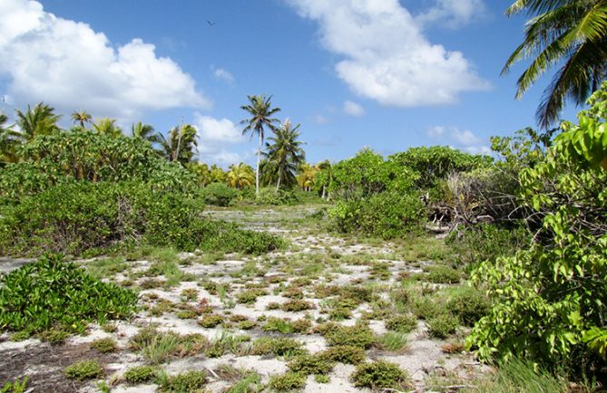 Esplanade des guerriers Tenihinihi à Ahe