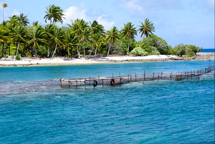 Parc à poissons de la passe Tamaketa, Aratika © Tahiti Heritage