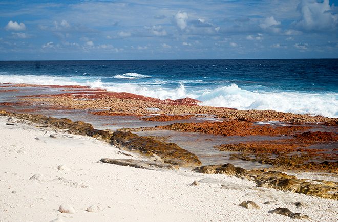 Plage nord d'Aratika