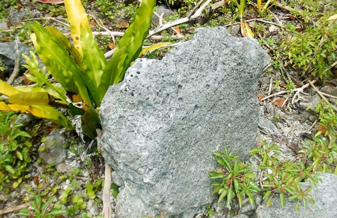 Marae Vaimeho de Aratika