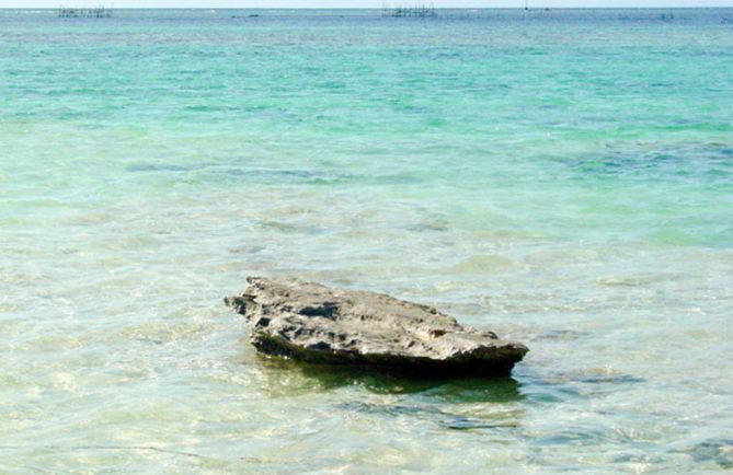 Rocher des baleines , Papa Tere, à Faaite