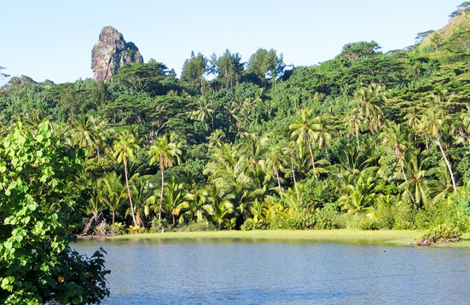 Sexe de Hiro, à Huahine