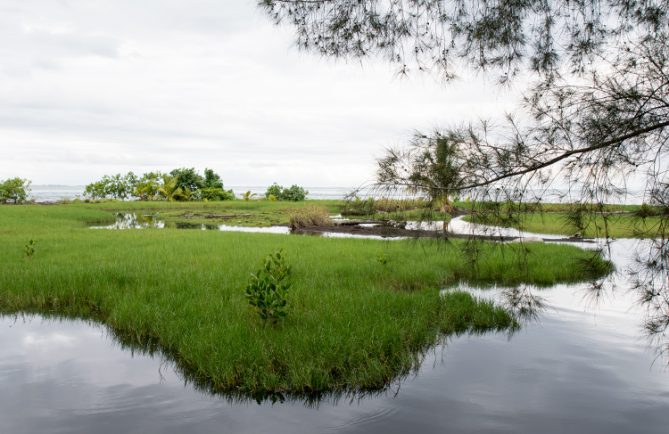 Motu Orie, à Mataiea, Tahiti © Tahiti Heritage