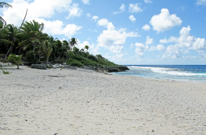 Site de ponte des tortues marines à Niau