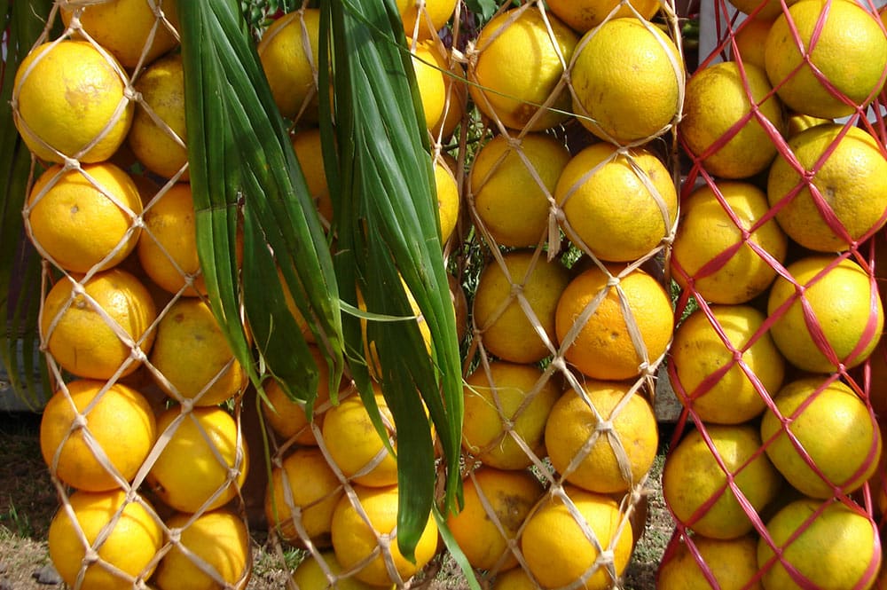 Glanes d'oranges du plateau Tamanu