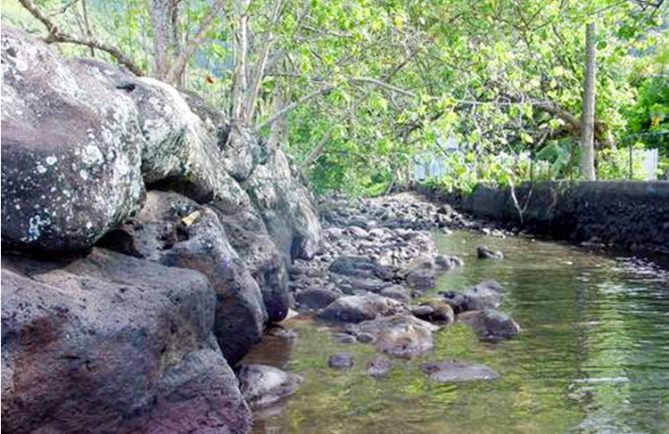 Embouche de la rivière, Tiamao, Papara