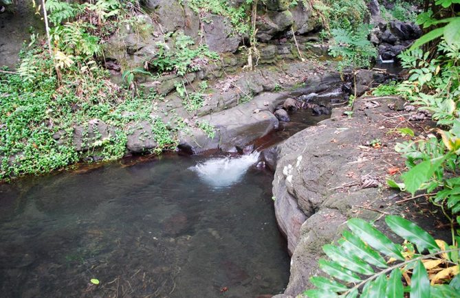 Bassin de Tahiri vahine, vallée de Hamuta