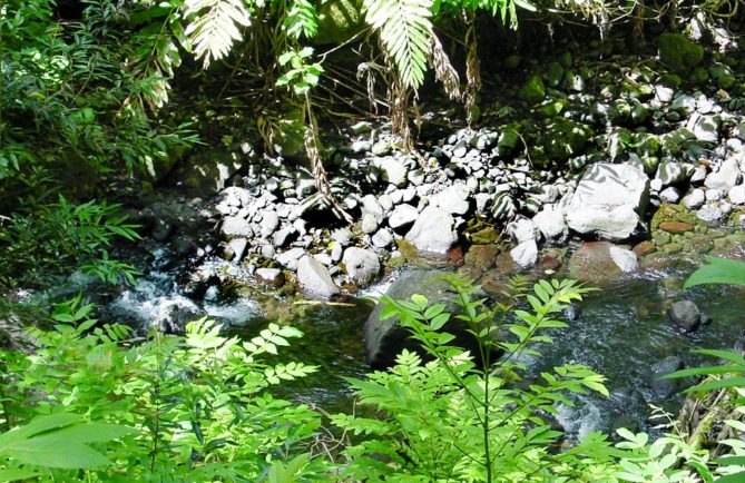 Ofai tere, les pierres qui bougent de la Nahoata