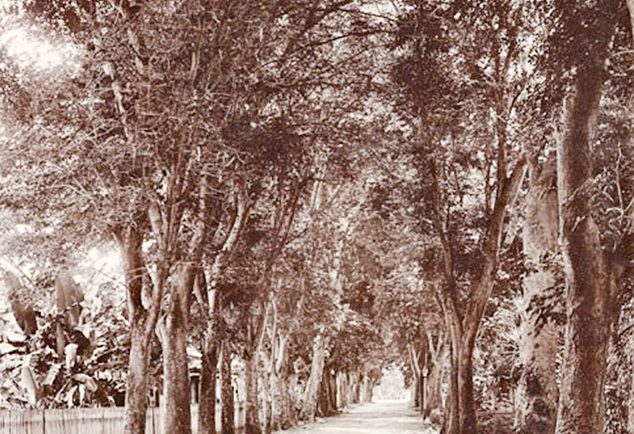 Rue de l'ouest à Papeete en 1900