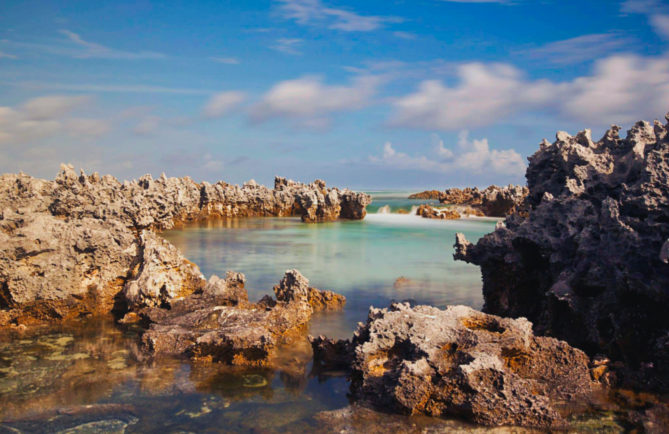 Ile aux récifs, les feo de Rangiroa. Photo Brigitte Bourger