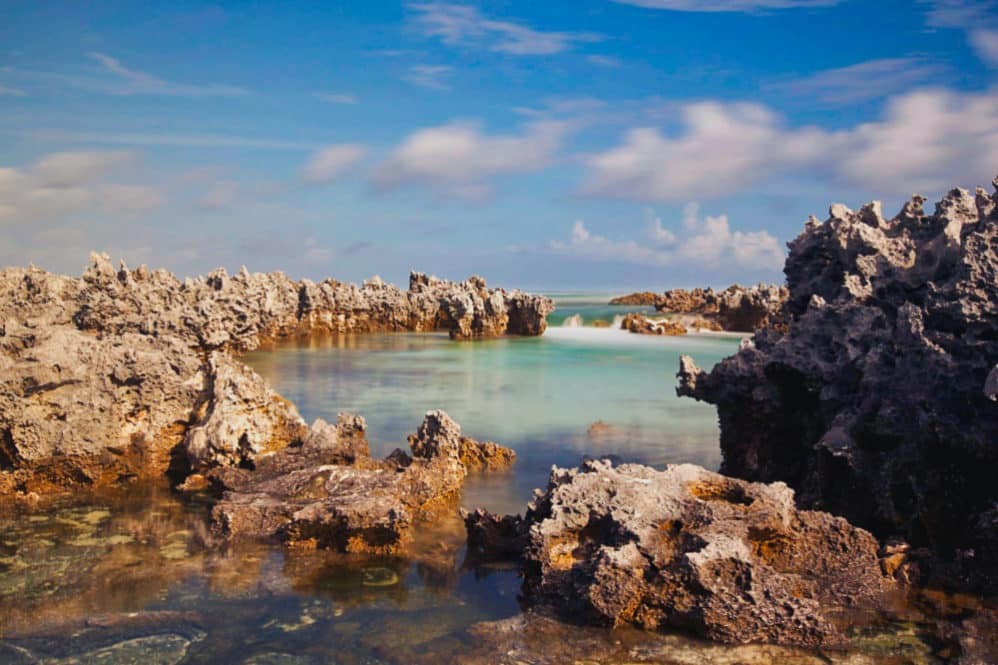 Ile aux récifs, les feo de Rangiroa. Photo Brigitte Bourger