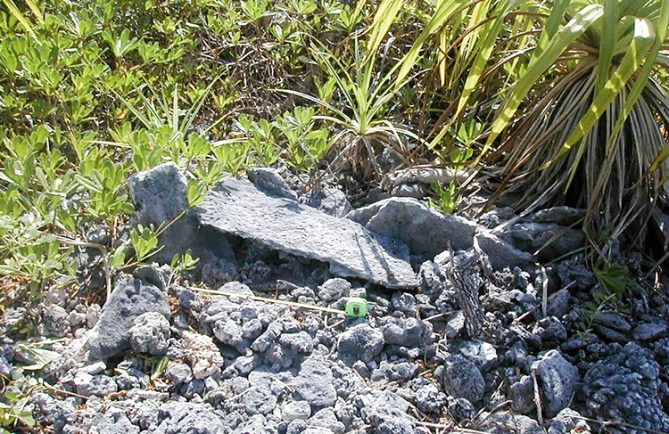 Marae Tu'ou'a de Tikehau