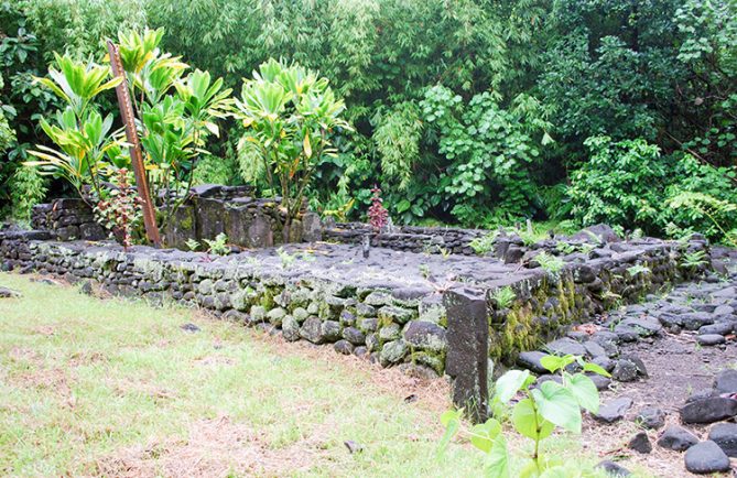 Marae Vaiotea, dans la basse vallée de Papenoo en 2009 © Tahiti Heritage