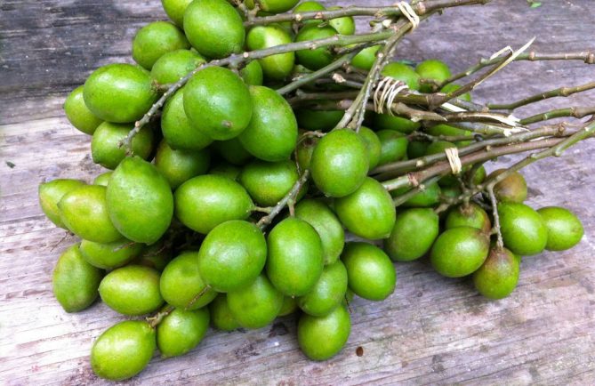 Quenette de Tahiti, Mamoncillo, Guinep, Quenepa