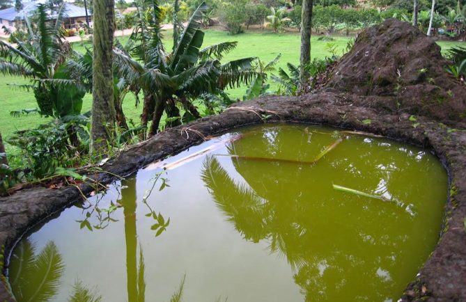 Bain de la Reine, Po’atu o Kame, Rouru, Mangareva. Photo Vuillemoz