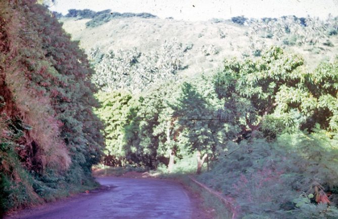 Ancienne route de la colline du Tahara'a