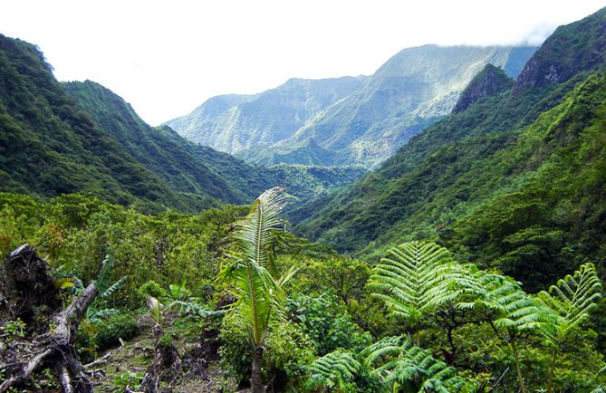 Vallée Te Faaiti, vallée de Papenoo. Diren