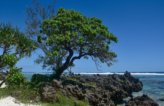 Rivage de Rimatara. Photo Jean Paul Rutz