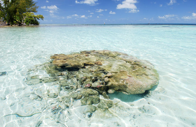 Pierre Tuki à Tetamanu, Fakarava. © Olivier Babin