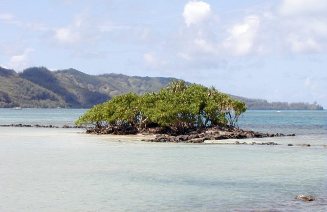 Motu Teakau, Fort Louis Philippe à Rikitea