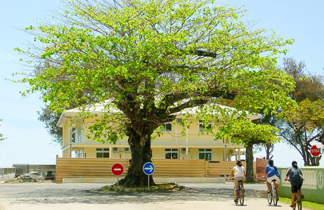 Autera'a du rond point de la mairie de Tubuai