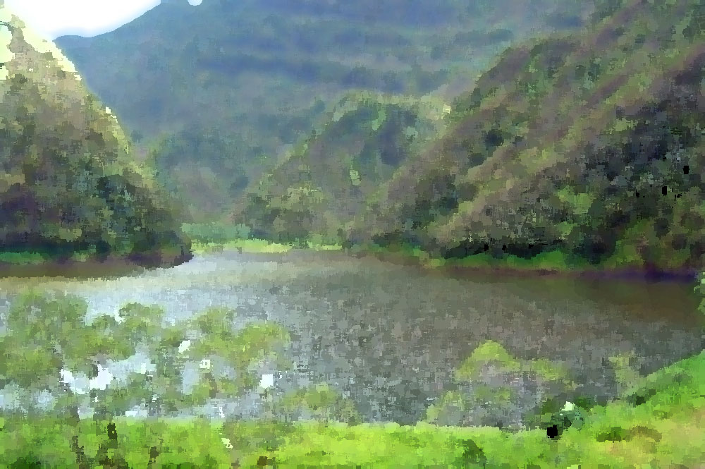 Petits bonhommes du lac Vaihiria