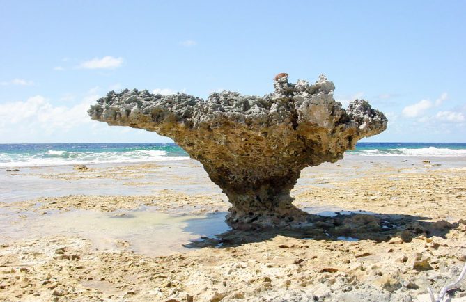 Ofai Taunoa, Rocher des tortues de Mataiva. © Tahiti Heritage