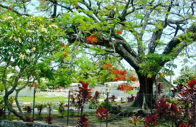 Cimetière de Tautira, Tahiti © Tahiti Heritage