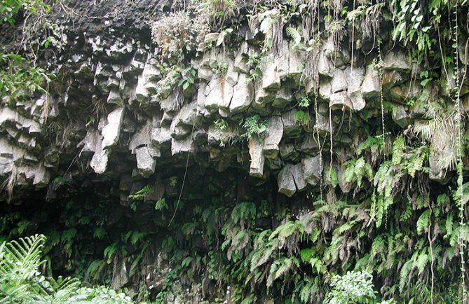 Orgues basaltiques de la bases vallée de Papenoo.