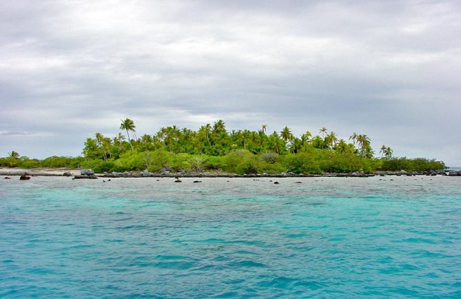 Motu aux oiseaux Puara à Tikehau