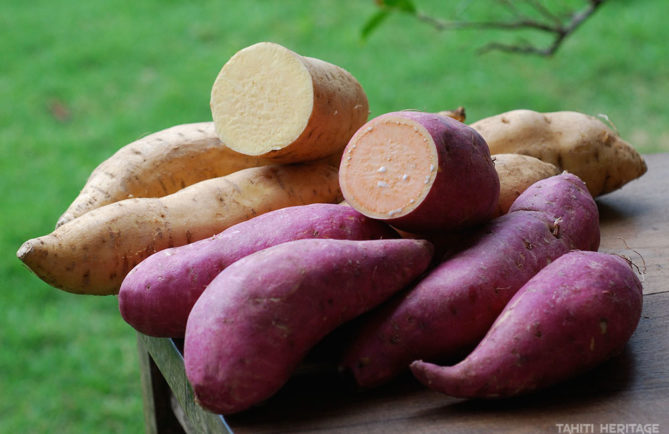 Papate douce, Ipomoea batatas, Umara. © Tahiti Heritage