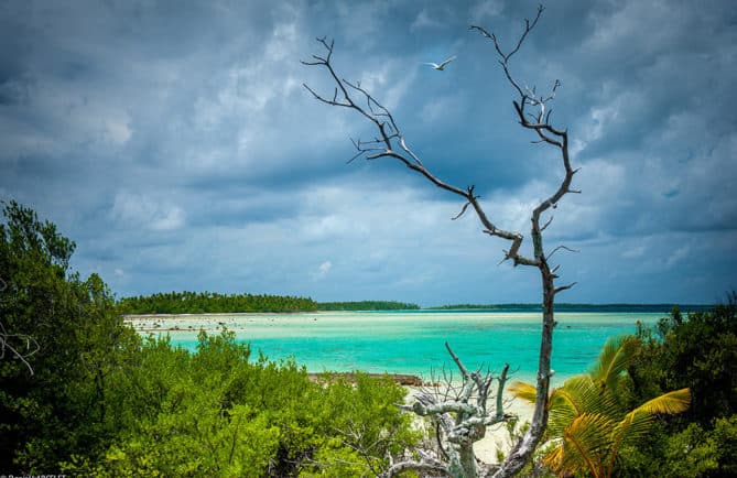 La passe Tapuhiria de Makemo. Photo Daniel Larcelet