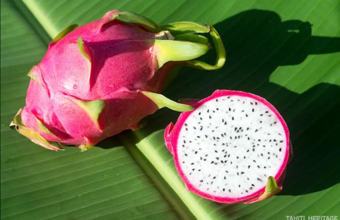 Pitaya, le fruit du dragon © Tahiti Heritage