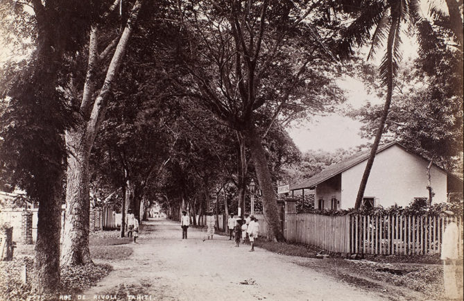 Tout le charme de la rue de Rivoli à Papeete en 1900. NZ Museum