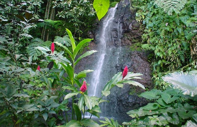 Cascade de Vaipahi, Mataiea, Tahiti © Tahiti Heritage