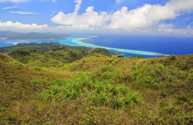 Plateau de Temehani à Raiatea.