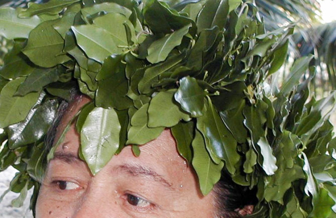 Maire maatea de makatea, Alyxia scandens © Tahiti Heritage