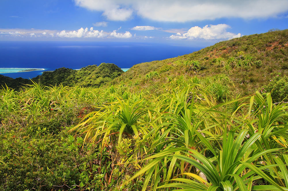 Plateau Te mahani à Raiatea