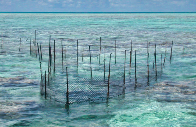 Parc à poisson de l'atoll de Toau (Tuamotu) 2004